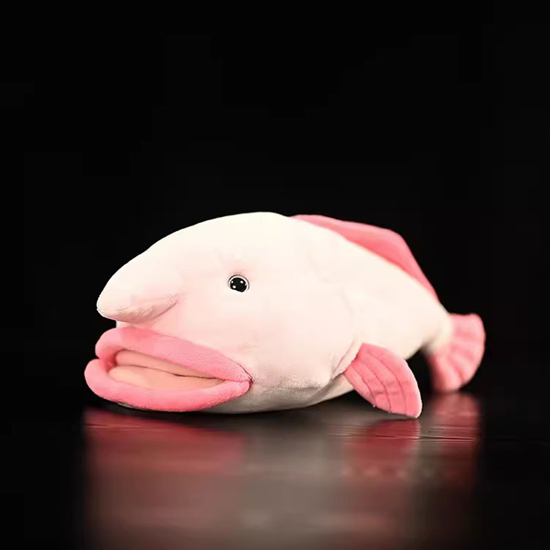 Aquarium And Marine Museum - Gesimuleerde Dieren Blobfish Zee Oceaan Lelijke