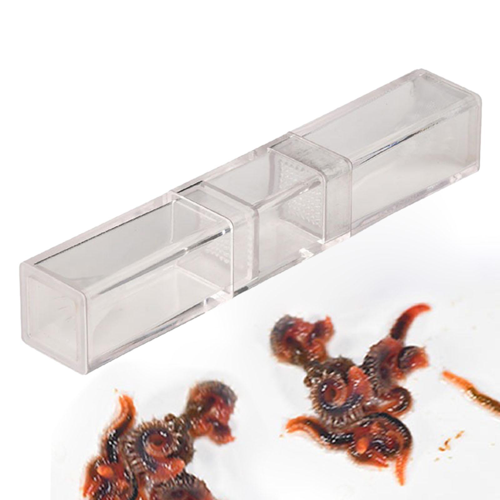 Marine Aquarium Worms - Aquarium Planaria Catcher voor Cherry Shrimp