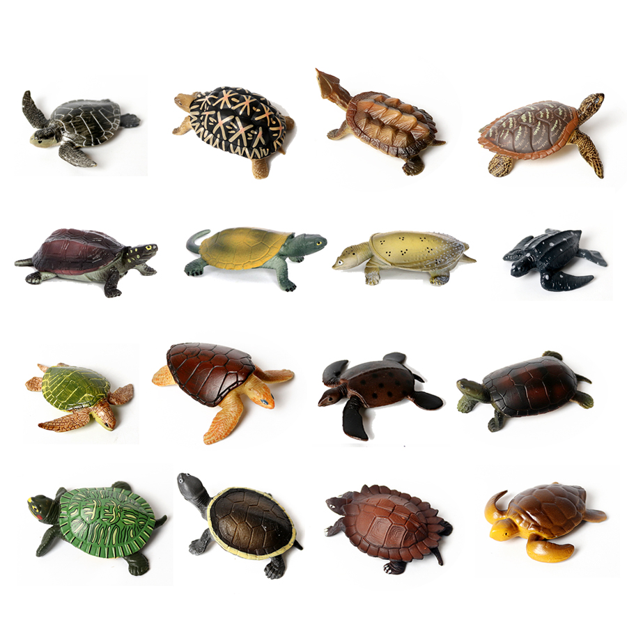 Marine Aquarium & Regional Centre Photos - Realistische Miniaturen Zeeleven Zeeschildpad Model Oceaandier