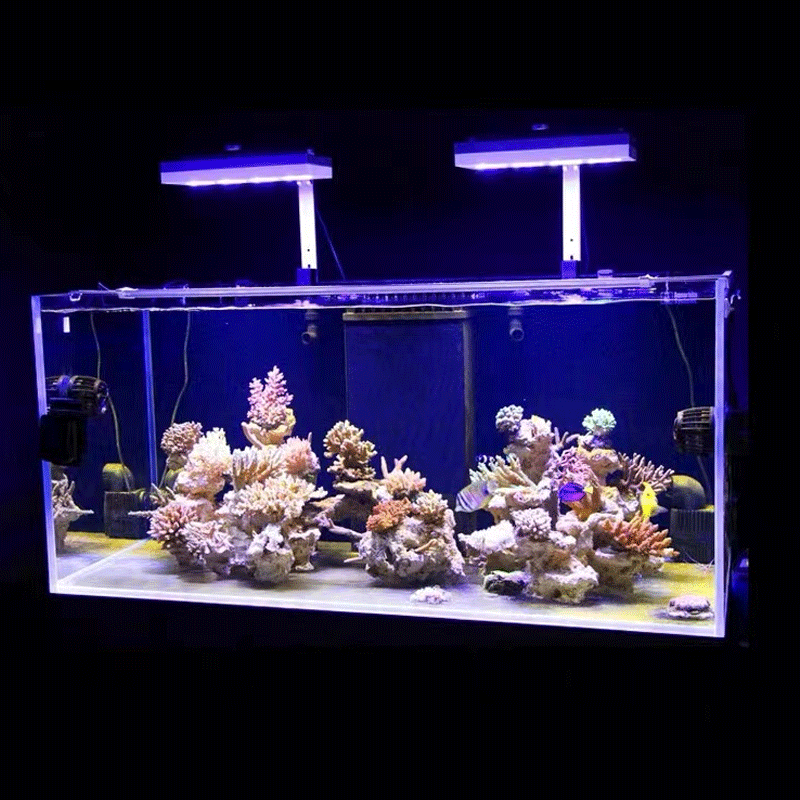Aqua Lighting AI Hydra 32HD/64 - Marine Aquarium Led Lights recensie en prijs