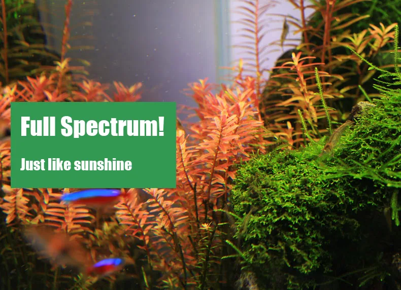 Spiritedos C-serie ADA-stijl P - Marine Aquarium Led Lights recensie en prijs