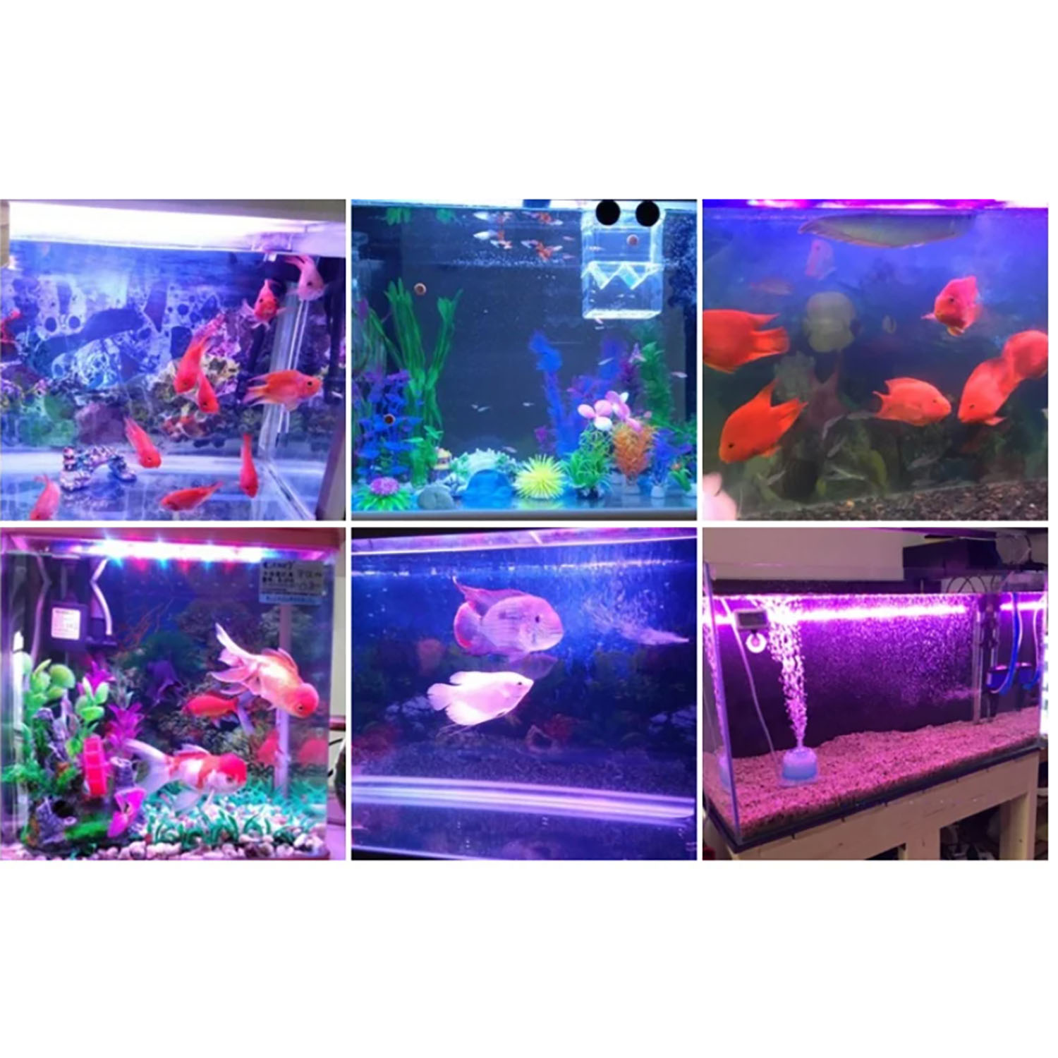 50W 60W 70W 100W RGB 26-28V Ho - Marine Aquarium Led Lights recensie en prijs