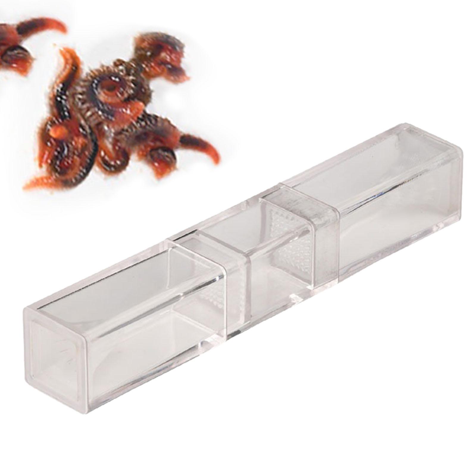 Aquarium Planaria Catcher voor - Marine Aquarium Worms recensie en prijs