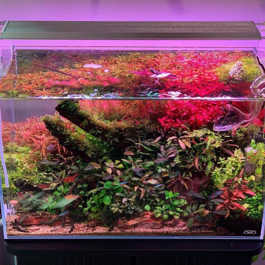 WEEK AQUA Aquarium LED Vivid L - Marine Aquarium Led Lights recensie en prijs