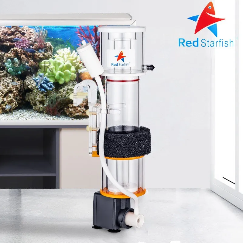 Rode Zeester Eiwit Skimmer Ult - Marine Aquarium & Regional Centre Photos recensie en prijs