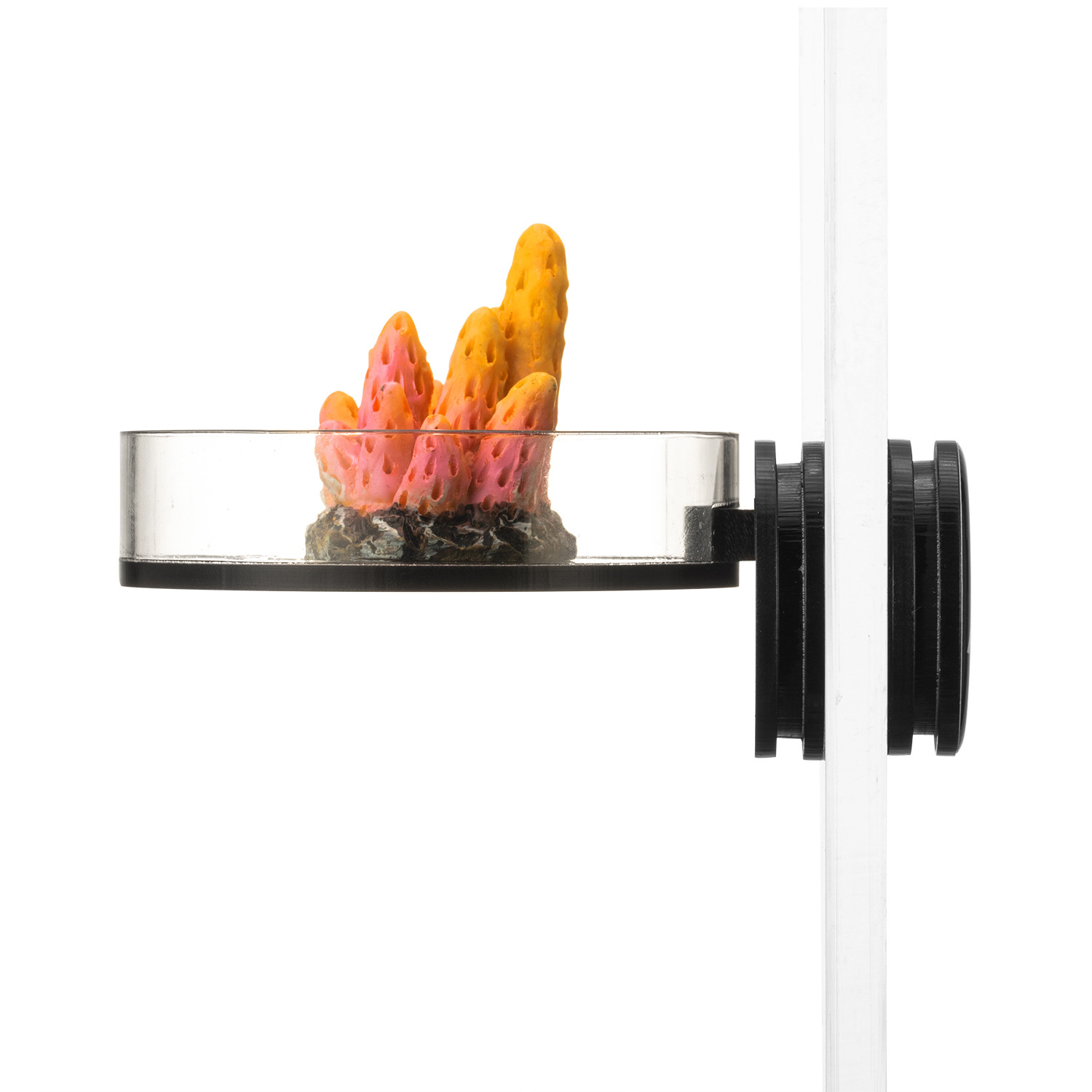 Marine Sources 70 mm zwart mag - Marine Aquarium & Regional Centre recensie en prijs