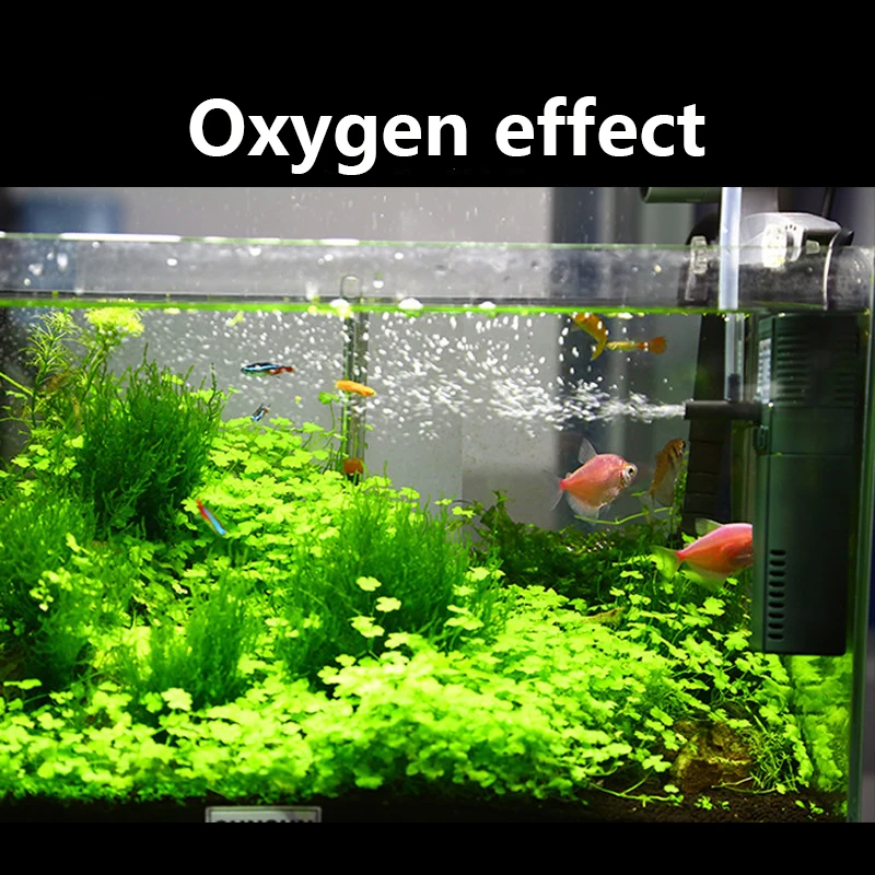 Sunsun Mini Nano 111b 311b 611 - Marine Aquarium Reactors recensie en prijs